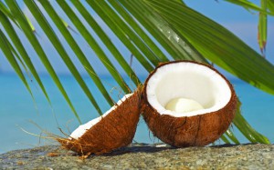 Tropical Coconuts