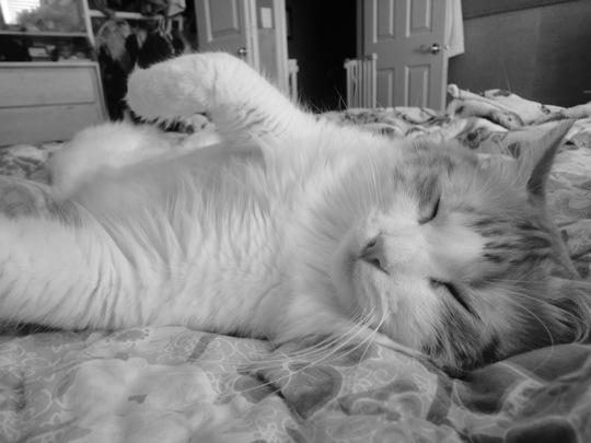 Monday Blues Monday Blues