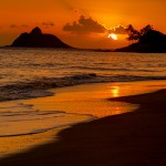 6 Steps to Make Your Mornings Kū