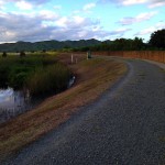 Fitness and its Simplicity