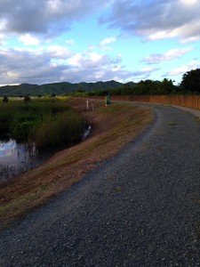 A photo my client sent to me on her walk